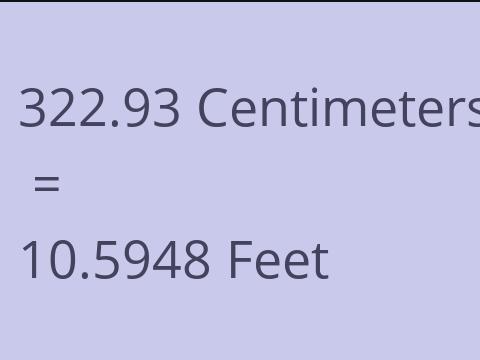 322.93 CM TO FEET