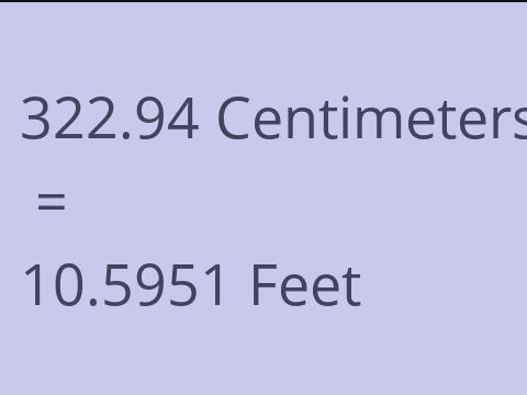 322.94 CM TO FEET