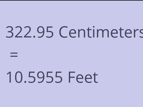 322.95 CM TO FEET