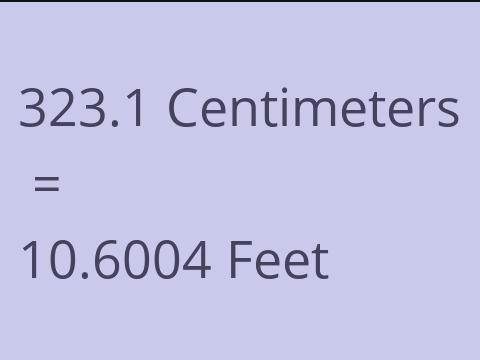 323.1 CM TO FEET