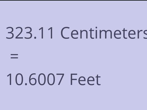 323.11 CM TO FEET