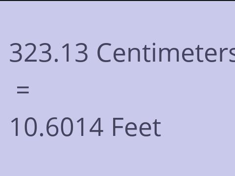 323.13 CM TO FEET