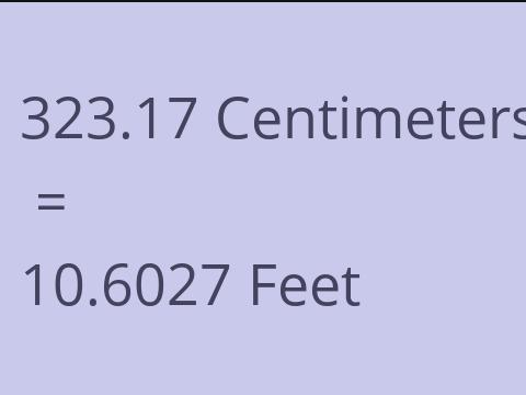 323.17 CM TO FEET