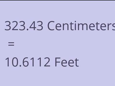 323.43 CM TO FEET