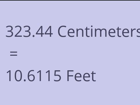 323.44 CM TO FEET