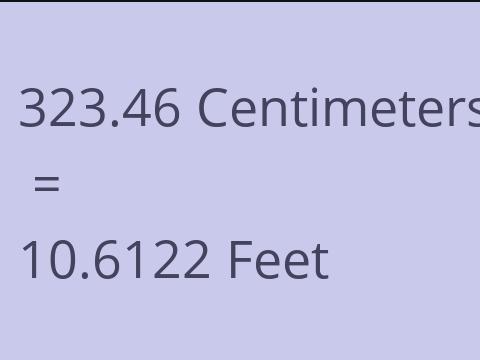 323.46 CM TO FEET