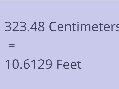 323.48 CM TO FEET