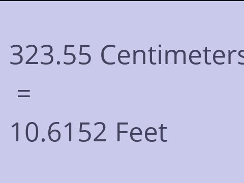 323.55 CM TO FEET