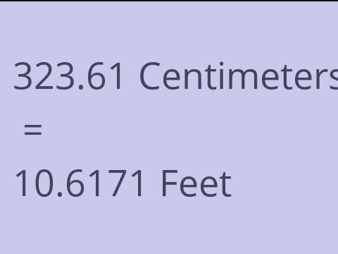 323.61 CM TO FEET