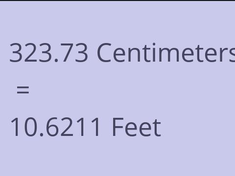 323.73 CM TO FEET