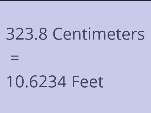 323.8 CM TO FEET