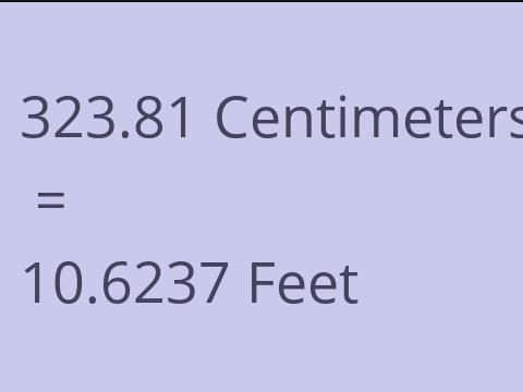 323.81 CM TO FEET