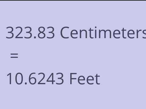 323.83 CM TO FEET