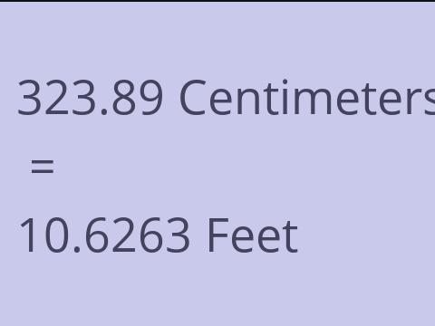 323.89 CM TO FEET