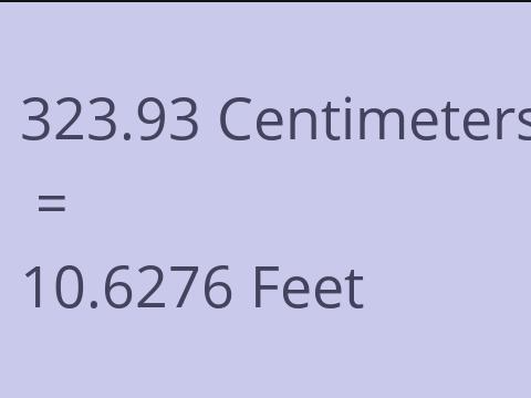 323.93 CM TO FEET