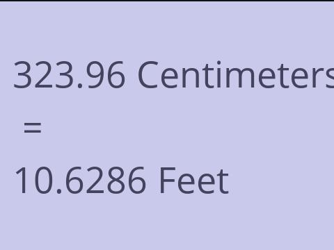 323.96 CM TO FEET