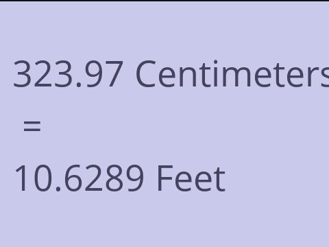 323.97 CM TO FEET