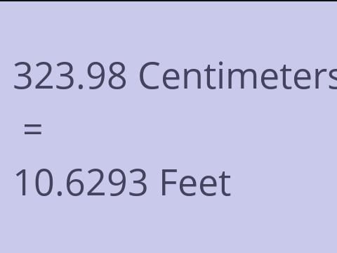 323.98 CM TO FEET