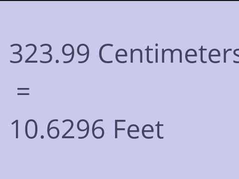 323.99 CM TO FEET