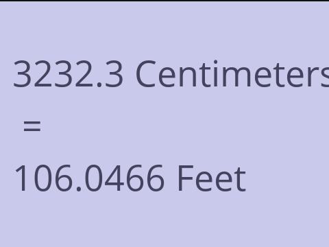 3232.3 CM TO FEET