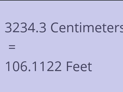 3234.3 CM TO FEET