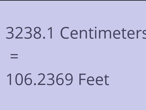 3238.1 CM TO FEET