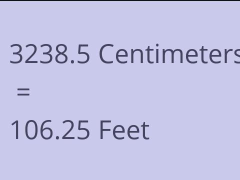 3238.5 CM TO FEET