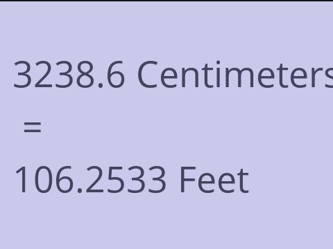 3238.6 CM TO FEET