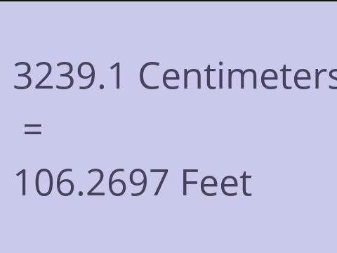 3239.1 CM TO FEET