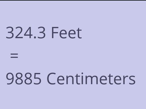 324.3 FEET TO CM