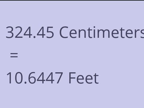 324.45 CM TO FEET