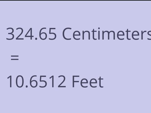 324.65 CM TO FEET