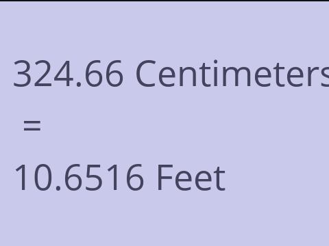 324.66 CM TO FEET