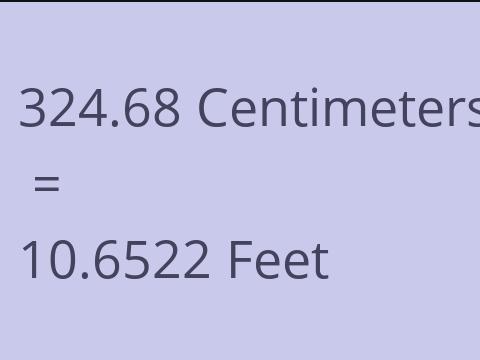 324.68 CM TO FEET