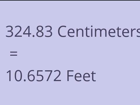 324.83 CM TO FEET