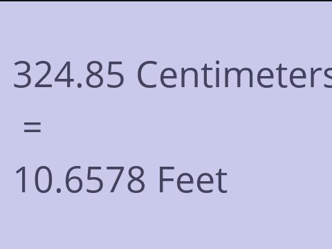 324.85 CM TO FEET