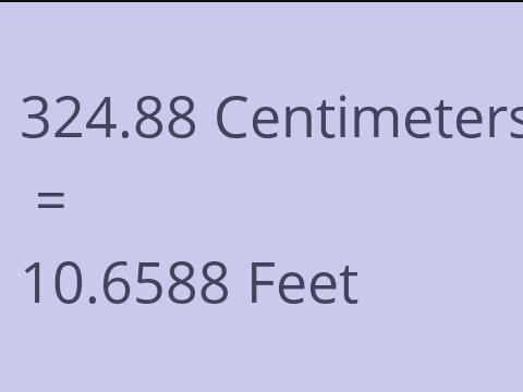 324.88 CM TO FEET