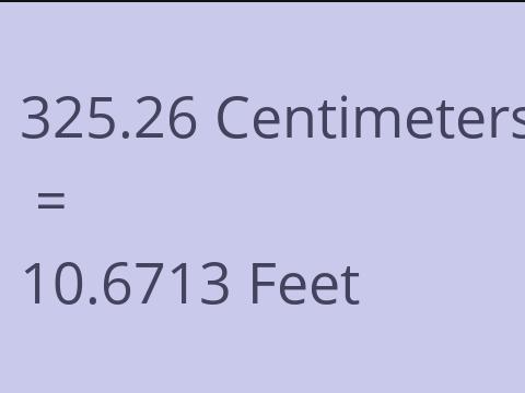 325.26 CM TO FEET