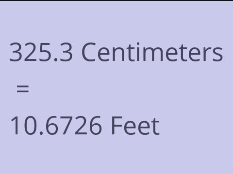 325.3 CM TO FEET