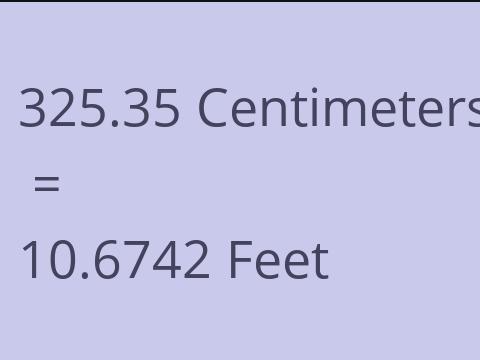 325.35 CM TO FEET