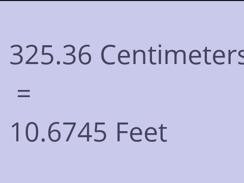 325.36 CM TO FEET