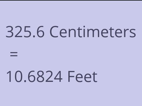 325.6 CM TO FEET