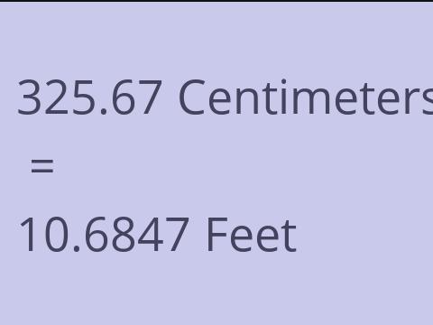 325.67 CM TO FEET