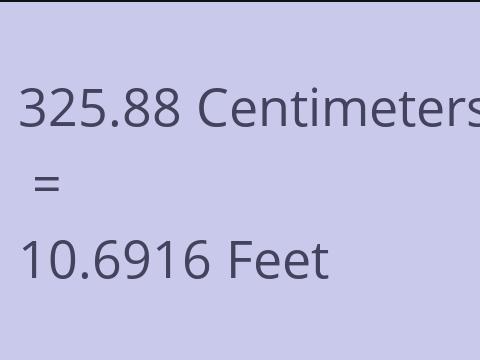 325.88 CM TO FEET