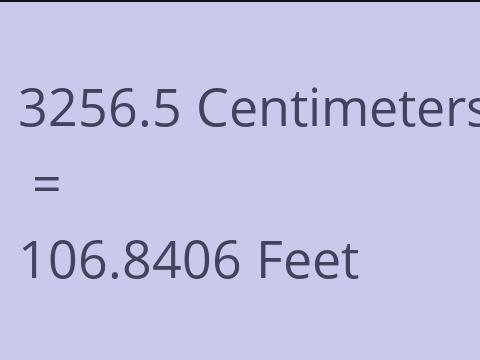 3256.5 CM TO FEET