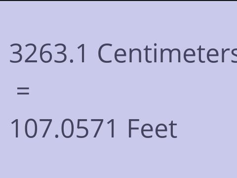 3263.1 CM TO FEET