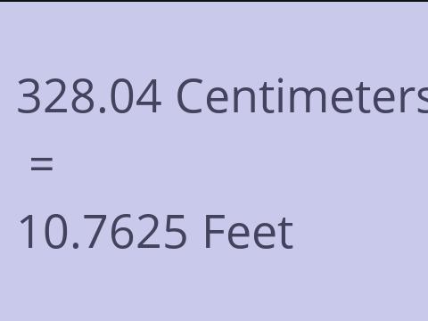 328.04 CM TO FEET