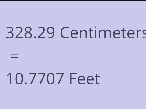 328.29 CM TO FEET