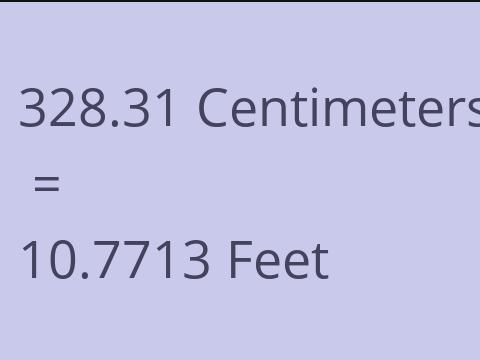 328.31 CM TO FEET