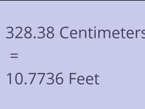 328.38 CM TO FEET